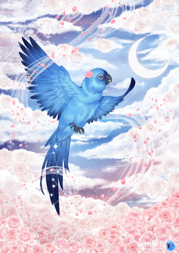 Nienbirb (2024) Nienbirb (2024)