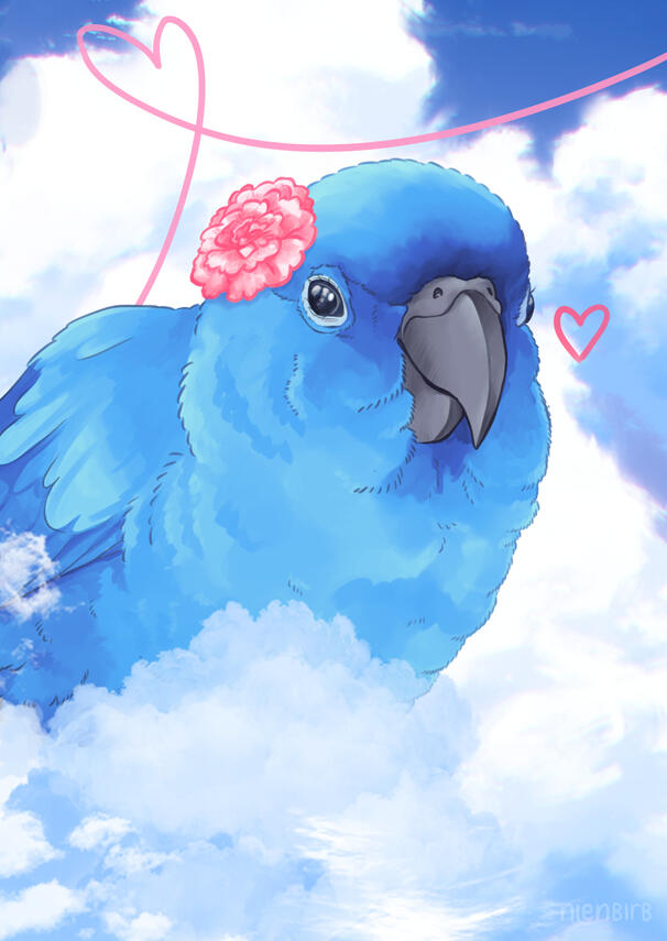 Nienbirb (2025) Nienbirb (2025)