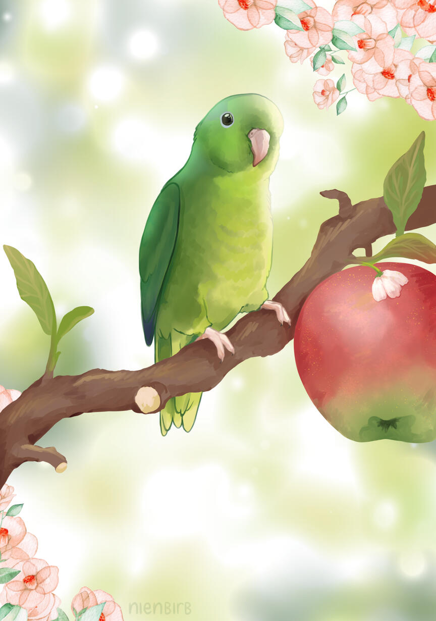 Illust for appeltjesgroen Illust for appeltjesgroen